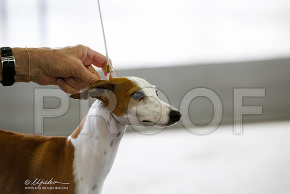 _CK_6679-DallasJul2014-HR3