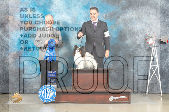 Papillon #8 Sat G1 Judge Alfred Ferruggiaro_MJ_4545_Amarillo_2022_HR3