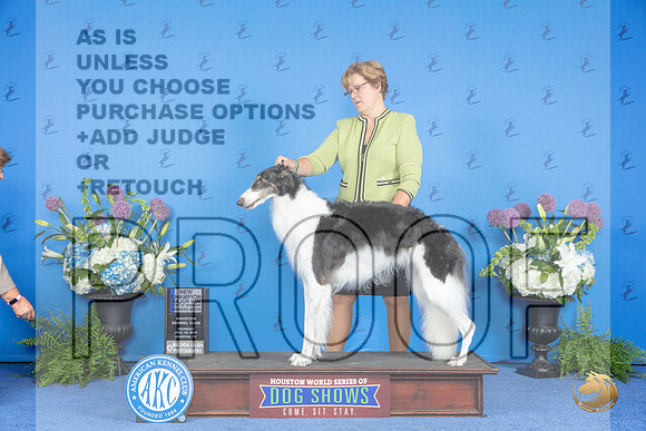 Borzoi #30 THUR WB BOW NC M Judge Dabbie Freeman__JP_8141_Houston_2024_HR3