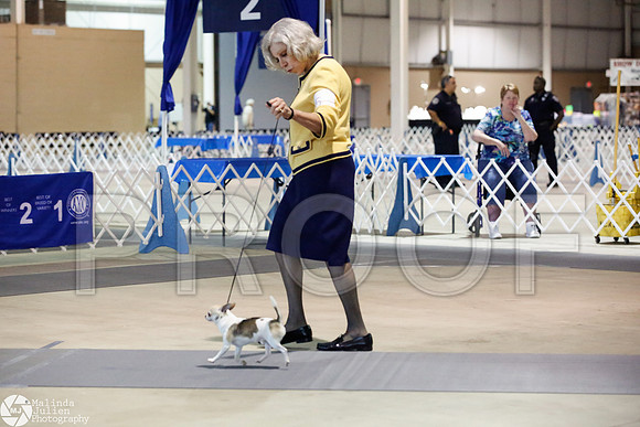 _JJ_2733-SanAntonioJul2014-HR