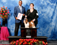 Shih Tzu #10 Sat BBE G1 Annette Lewis