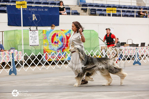 _JJ_0023-AblnMay2014-web