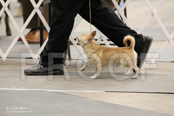 IMG_7276-Abilene2011-HR3