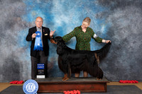 Gordon Setter #5 Sun G1 Judge Sidney Marx