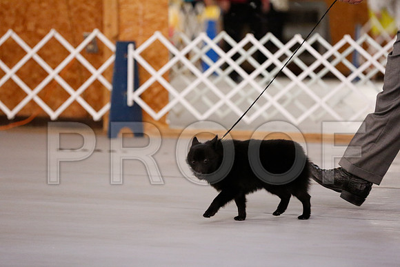 _RH_7477-CarlrolltonSept2014-HR3