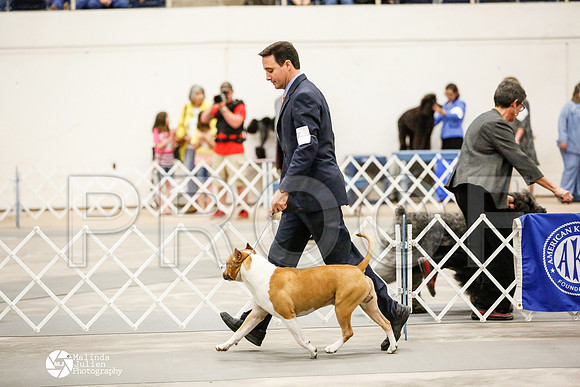 _RH_3646-AblnMay2014-web
