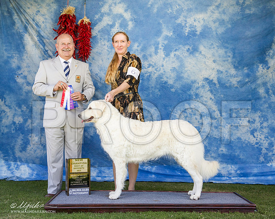 _ST_2667-AlamogordoOct2014-HR3