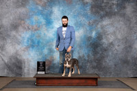 American Bully #416 RPBIS Judge Chandra Martin