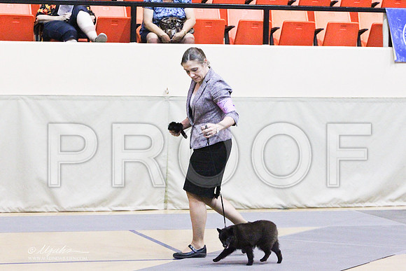 MatchPup-9378LR