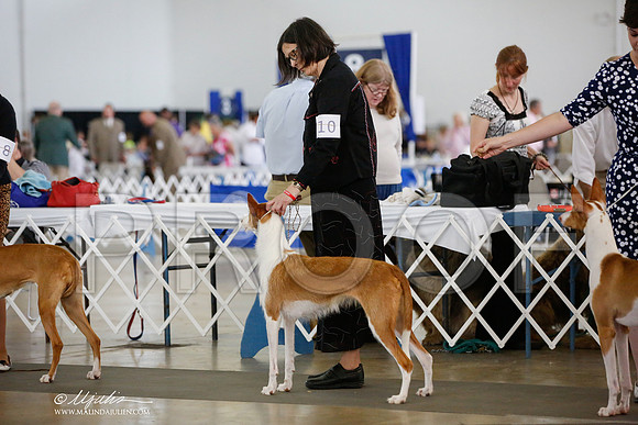 _JJ_4960-DallasJul2014-HR3
