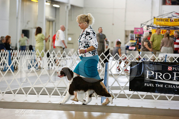 _JN_1557-DallasJul2014-HR3