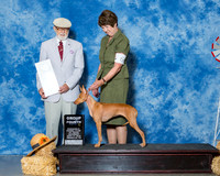 Cirnechi Dell Etna #6 Sat G4 Turner Charles Gracie Turner Lucia Prieto Judge Dr Dale D Simmons