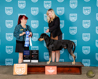 Cindy Sanders UKC Western Classic