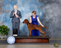 Charity l Glaser San Antonio 2025