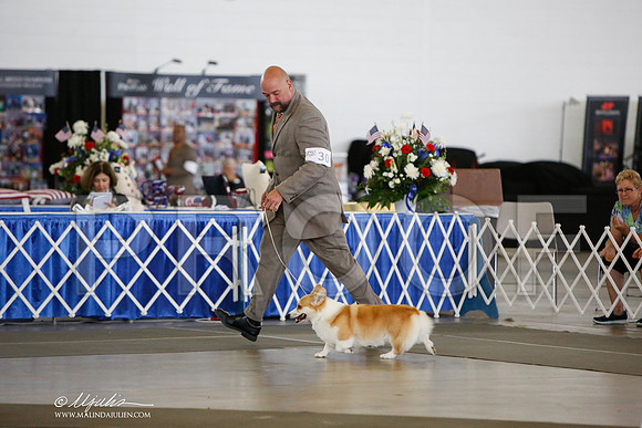 _JJ_3177-DallasJul2014-HR3