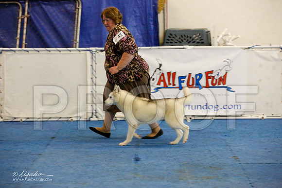 _M3_0709-AddisonHuskyMar2015-HR3