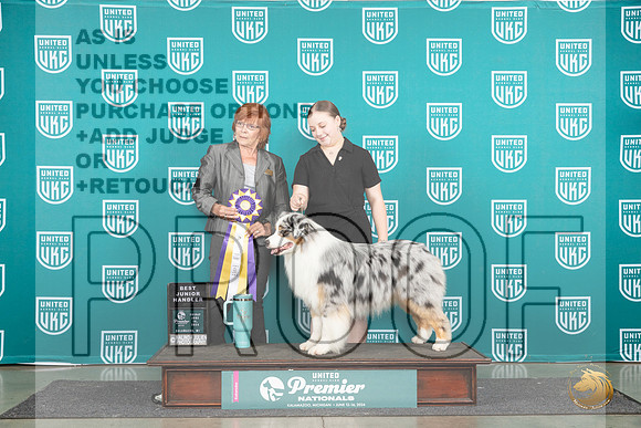 Australiann Shepherd #980 Fri BJ Judge Sharonn Griffin__JP_1900_Premier_2024_HR3