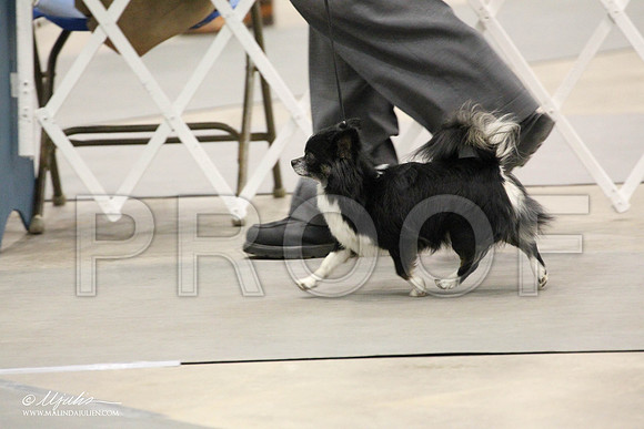 IMG_7580-Abilene2011-HR3