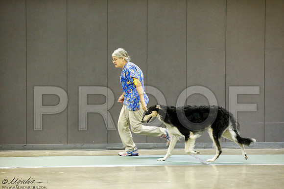 _J3L8879-BeltSep2014-HR