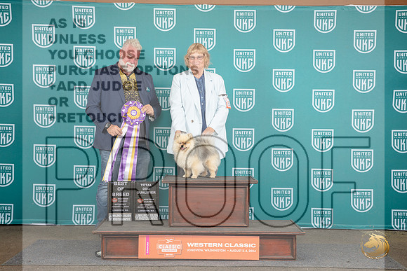 Pomeranian #213 Sat AltBIS TD Judge Matt Proctor__JP_1591_Longview WA_2024_HR3