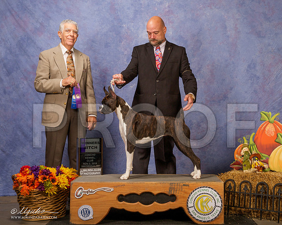 _CL_4589 - Version 2-SanAngelo2014-HR3