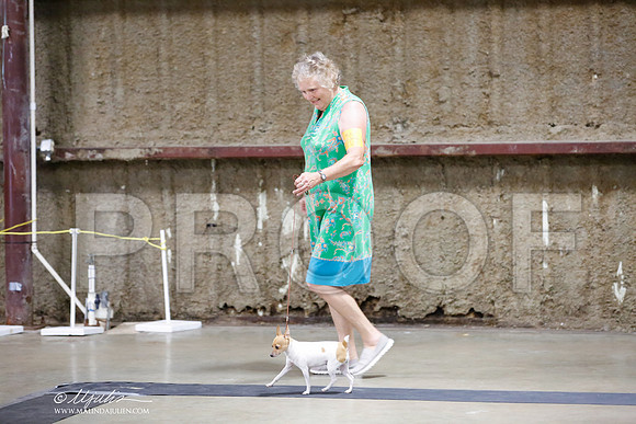 _HR_4019-CnroeJul2014-HR3