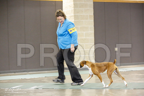 _JN_1651-BeltonJan2015-HR3