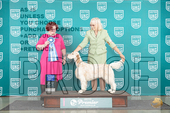 English Setter #609 Fri AG1 Judge Tracy Karsjens__JP_1801_Premier_2024_HR3