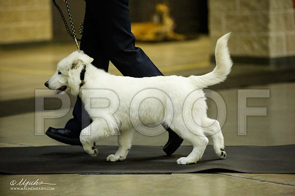 _JJ_6173-BeltonJan2015IABCA-HR3
