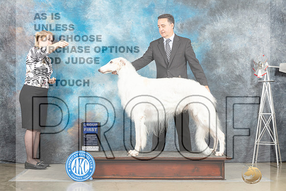Borzoi #11 Sun G1 Judge Sharon Derrick_MJ_5129_Amarillo_2022_HR3