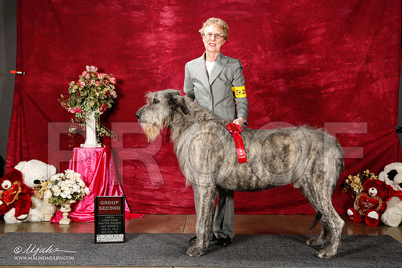 _ST_2584-2-BeltonJan2015IABCA-HR3