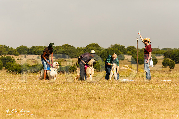 _MJ_4090-AfgBeltonOct2014-HR3