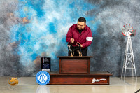 Chihuahua Smooth Coat #5 Thurs BOSMGCh Judge Joan Liebes