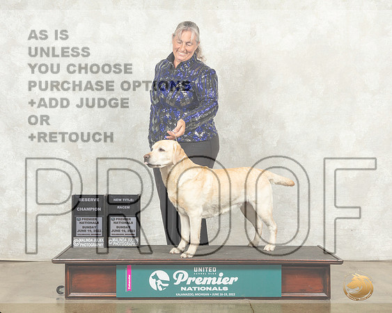 Labrador Retriever #217 Sat RGCh Judge Sandra Kowalski__MJ_9452_Premier_2022_HR3