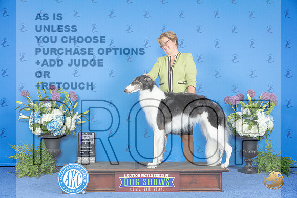 Borzoi #30 THUR HA WB M Judge Marilyn Pipes__JP_8148_Houston_2024_HR3