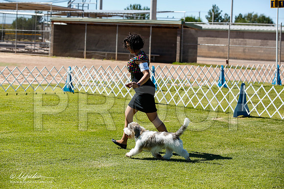 _JN_6889-AlamogordoOct2014-HR3