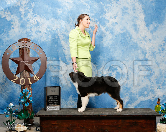 _ST_5993-2-ASCAnov2014-HR3