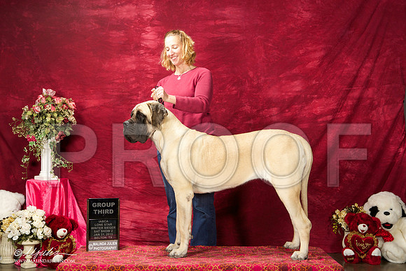 _ST_2839-BeltonJan2015IABCA-HR3