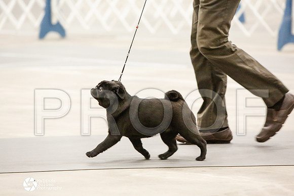 _CK_5978-AblnMay2014-web