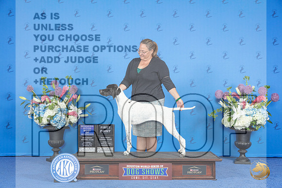 Pointer #6 SUN WB BOW Judge Sandra Lex__JP_0200_Houston_2024_HR3
