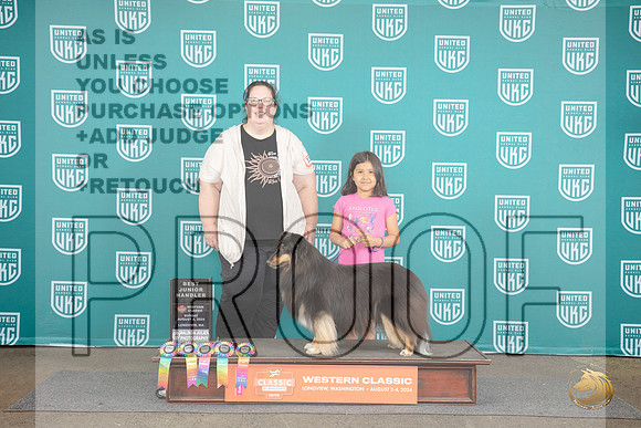 Shetland Sheepdog #321 #320 Fri Sat Sun Best Jr__JP_1718_Longview WA_2024_HR3