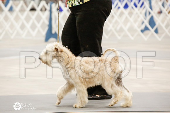 _CK_8562-AblnMay2014-web