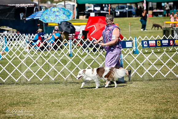 _JJ_1256-AlamogordoOct2014-HR3