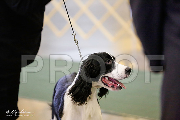 _RH_8918-BeltonJan2015-HR3