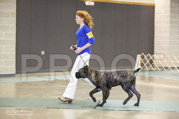 _JN_1667-BeltonJan2015-HR3
