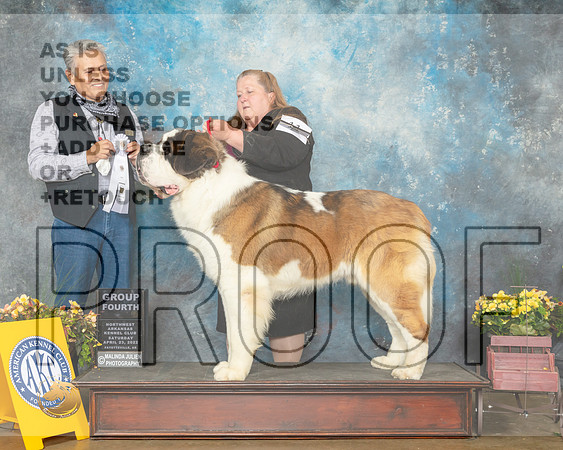 St Bernard #11 Sat G4 Judge John Ramirez-MMJ_0960-NWARK2022-HR3
