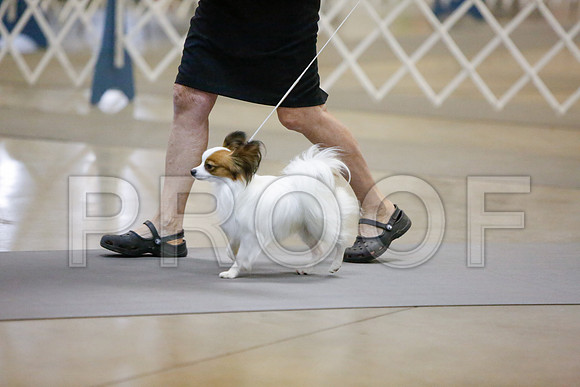 _JJ_1741-AmarilloSept2014-HR3