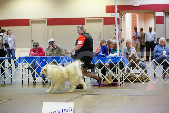 _JN_8464-AmarilloSept2014-HR3