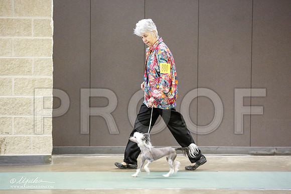 _JN_5428-BeltonJan2015-HR3
