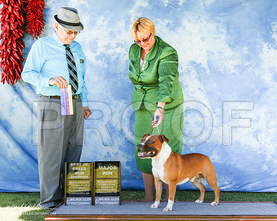 _ST_2974-2-AlamogordoOct2014-HR3